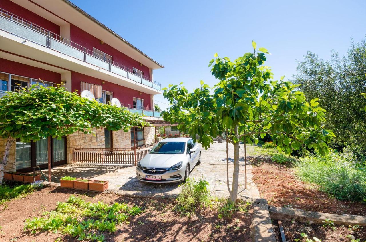 Apartment Mladen Jelica *